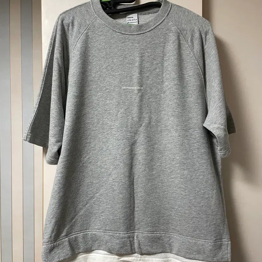 [BUNJANG] Giordano Semi Oversized T-shirts (2-Pack, L) / 지오다노 반팔티 2개 일괄 세미오버핏(L)