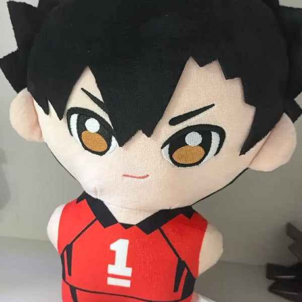[BUNJANG] Haikyuu!! Tetsuro Kuroo Plush Doll / 하이큐 쿠로오 테츠로 인형