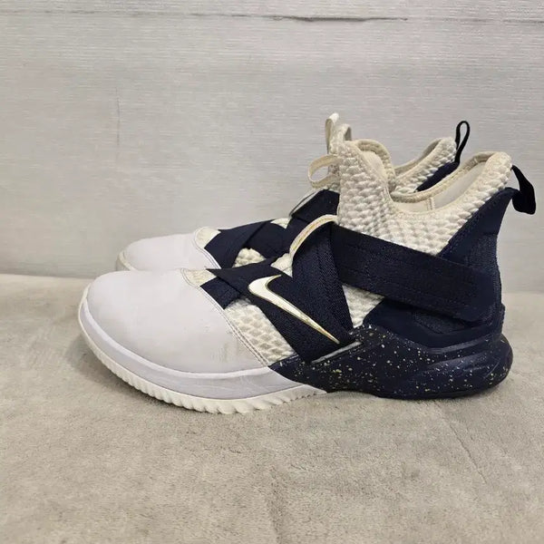 [BUNJANG] Nike LeBron Soldier 12 Basketball Shoes (Size 290) / 나이키 르브론 솔져 12 농구화 290