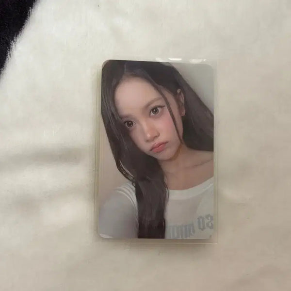 [BUNJANG] Hat's to Hat's Carmen NY Music Lucky Draw POB Photocard / 하투하 레몬탱 포카 미공포 하츠투하츠 카르멘 NY뮤직 럭드 미공포
