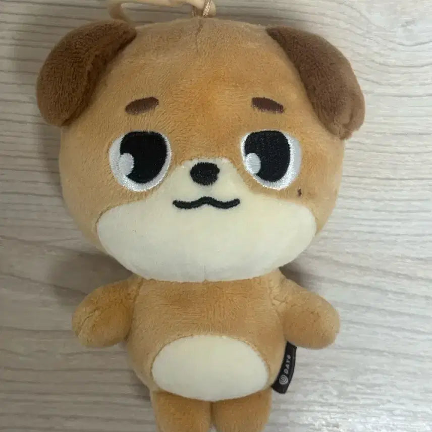 [BUNJANG] DAY6 Denny's Don Plush Doll / DAY6 데니멀즈 DON