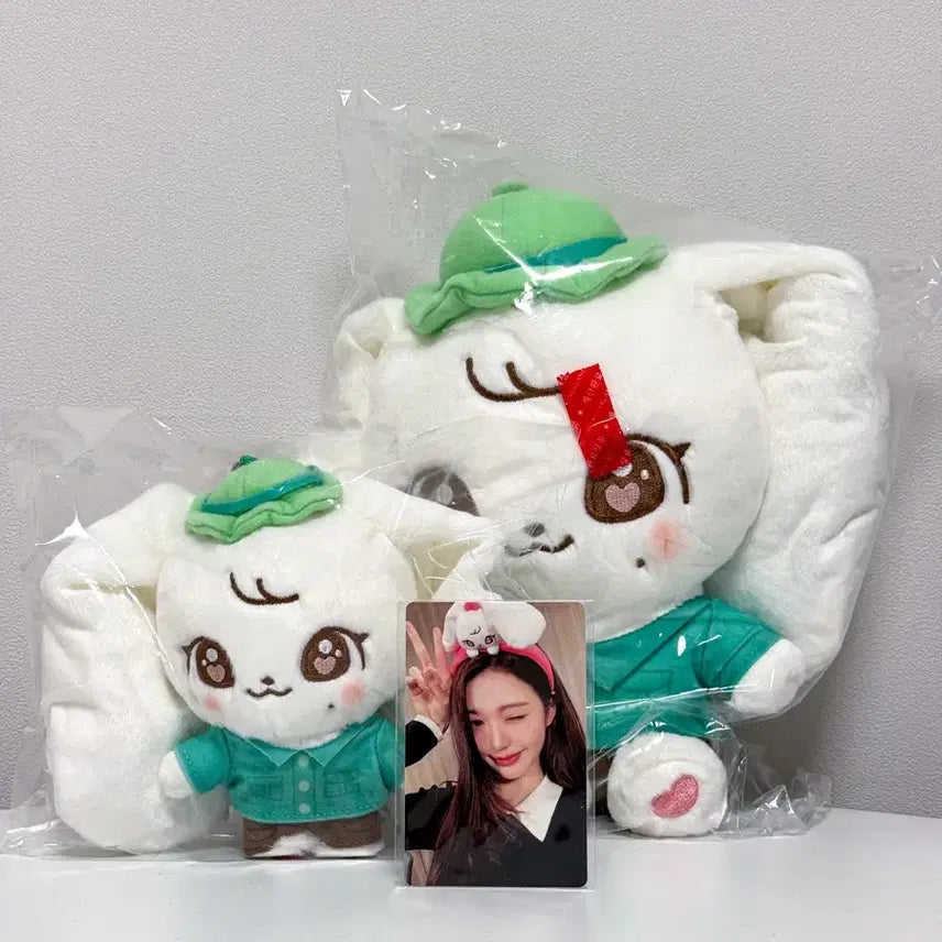 [BUNJANG] IVE Wonyoung Everland Minib Cruel Plush Doll & Keychain Set with POB Photocard (Sealed) / 아이브 장원영 에버랜드 미니브 체리 플러시 인형 키링 특전 포카 미개봉