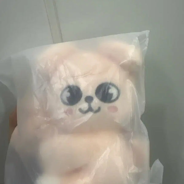 [BUNJANG] Stray Kids Seungmin Periperi Magnet Plush (Sealed) / 미개봉 원가양도 스키즈 스키주 마그넷 플러시 승민 퍼핌