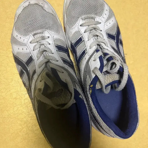 [BUNJANG] Asics Roterrebre Volleyball Shoes / 아식스 로테리브레