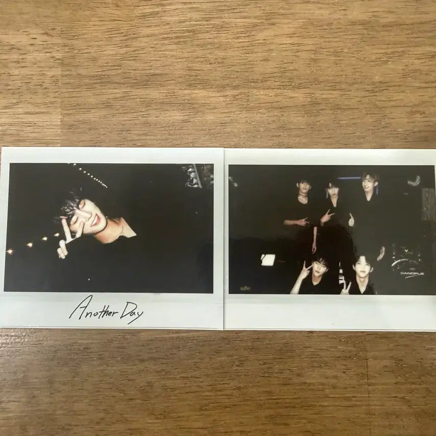 [BUNJANG] DAY6 Sunrise Young K Photocard / 데이식스 선라이즈 영케이 포카