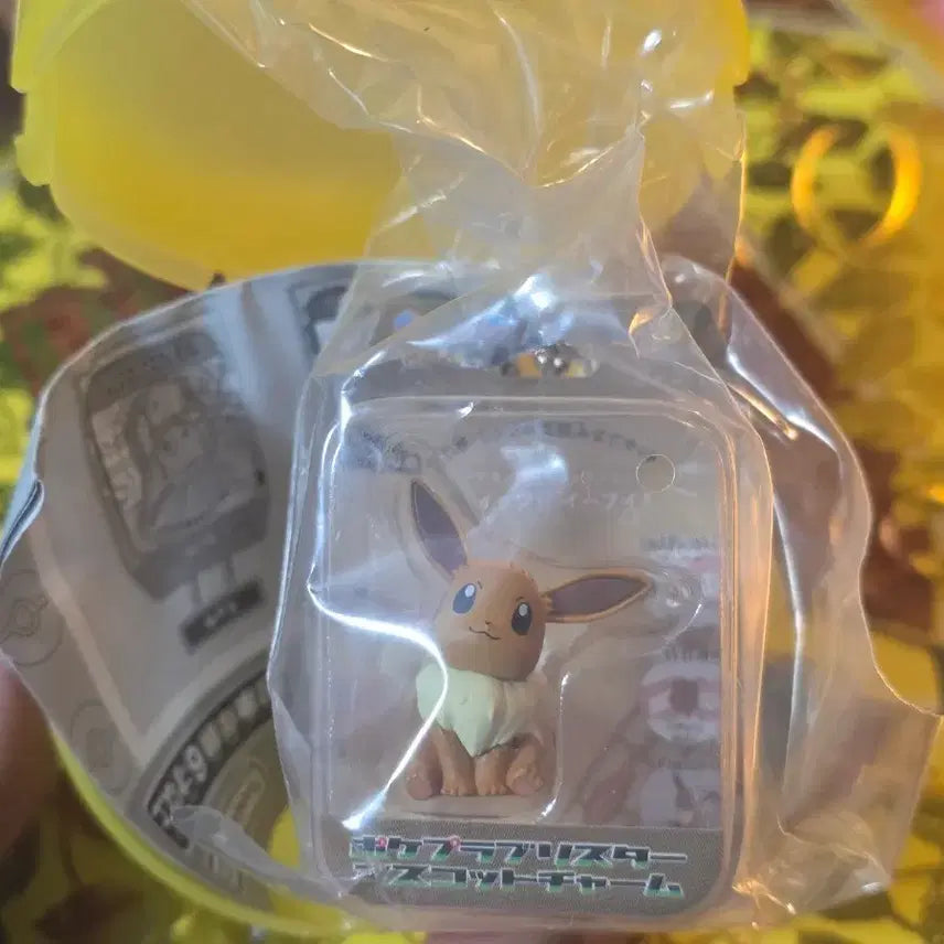 [BUNJANG] Pokemon Eevee Mini Gacha Figure / 포켓프라퀵 미니 가챠 이브이