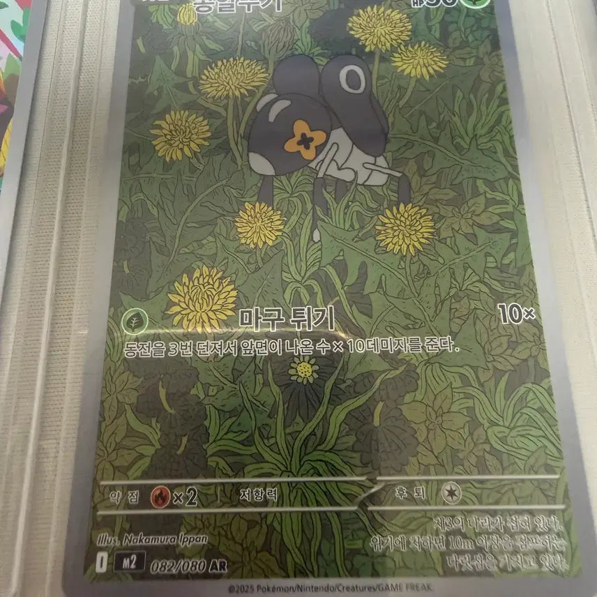 [BUNJANG] Pokemon Card Kkonalttugi AR (SS Grade) / 포켓몬카드_콩알뚜기 AR (SS급)
