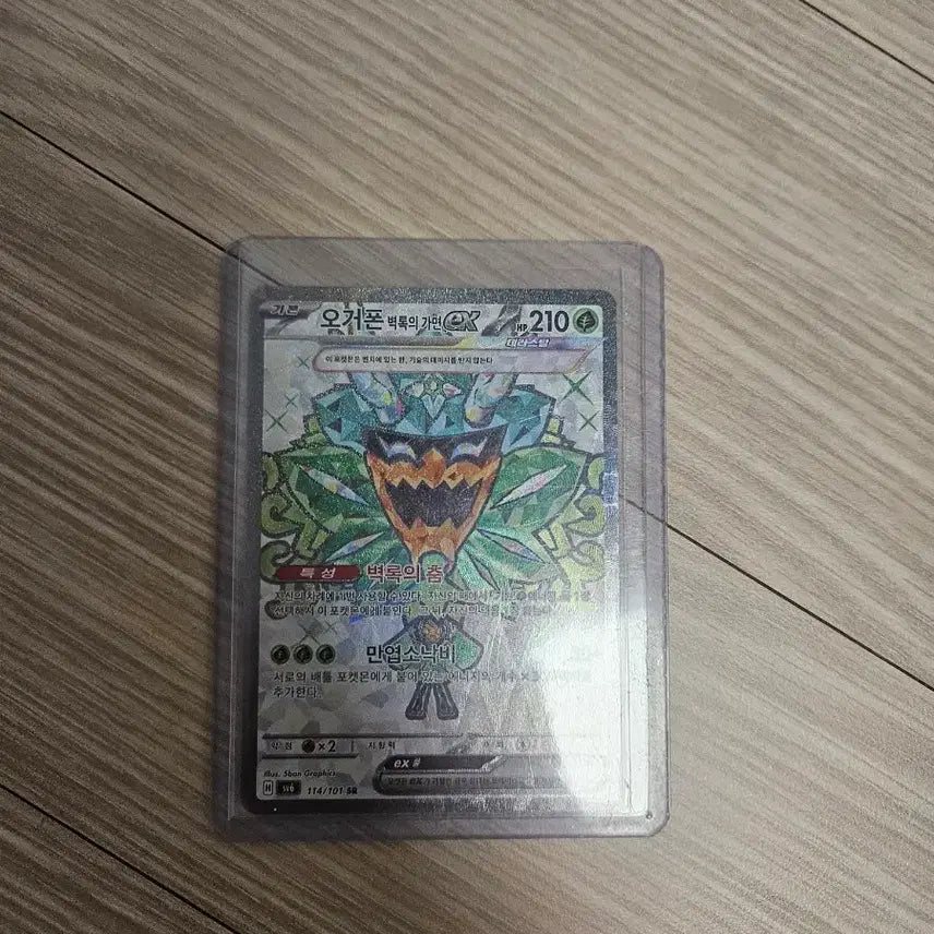 [BUNJANG] Ogerpon's Wellspring Mask EX 114/101 / 오거폰 벽록의 가면 EX 114/101