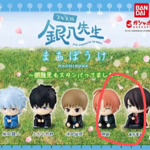[BUNJANG] Gintama Machiboke Z-Han Bundle Set Gamamori Kamui Shinsuke / 일괄 6500) 은혼 마치보케 z반 문제아들 긴파치 카무이 신스케