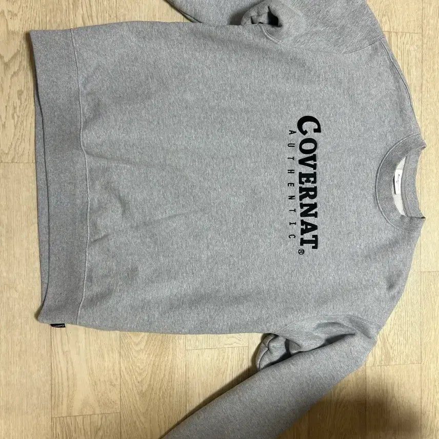 [BUNJANG] Carhartt Sweatshirt Grey L / 커버낫 맨투맨