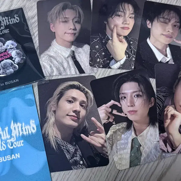 [BUNJANG] Xdinary Heroes Busan Viewcon Concert Entrance Photocard Gift / 엑디즈 부산 뷰마콘 콘서트 입장포카 기프트