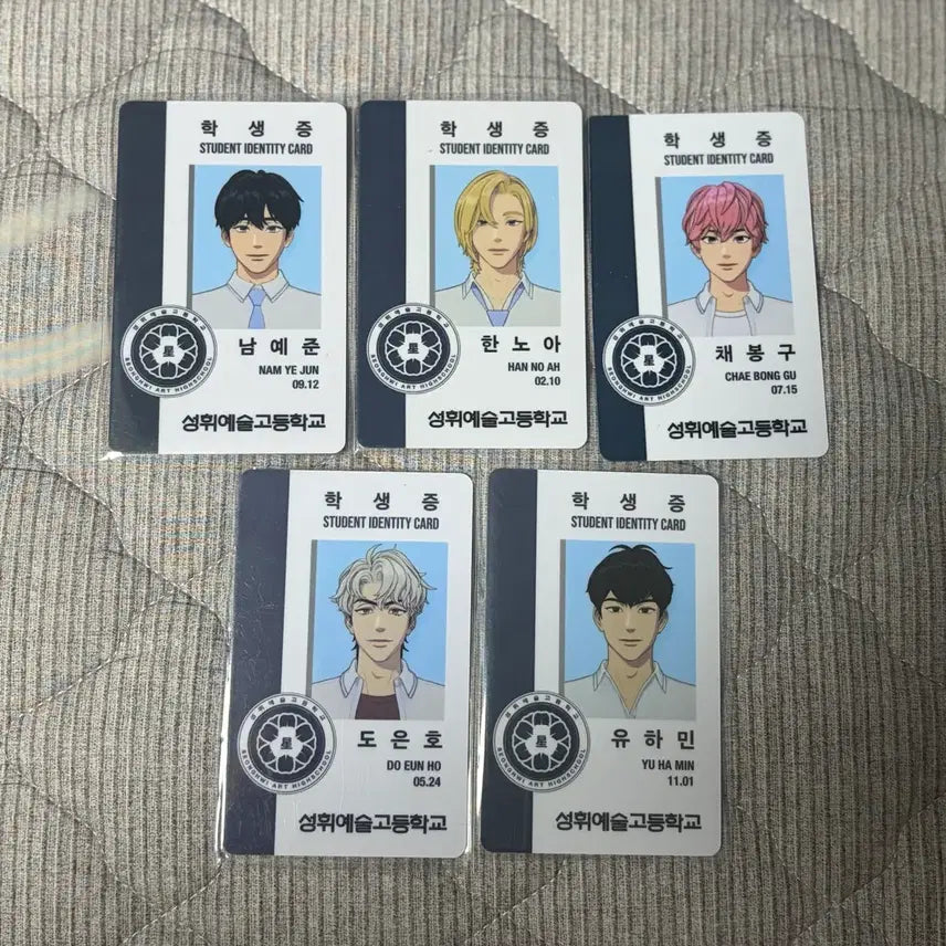[BUNJANG] PLAVE Yu Yeoreum Student ID Bundle Sixth Summer Photocard / 플레이브 육여름 학생증 일괄 여섯번째여름 포카 예준 노아 밤비 은호 하민