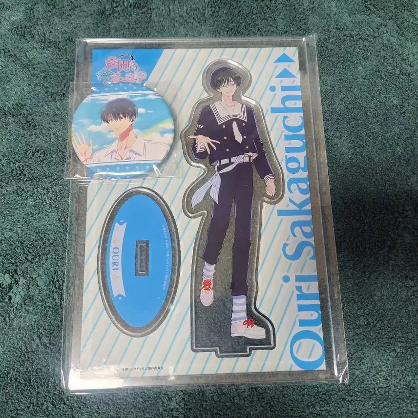 [BUNJANG] Tamontai Kun? Sakaguchi Ouri Blu-ray Acrylic Stand & Can Badge Set / 타몬 군 지금 어느쪽?! 사카구치 오우리 블루레이 아크릴 스탠드 캔뱃지