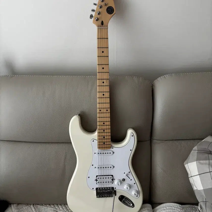 [BUNJANG] Gopherwood WHITE 301 Acoustic Guitar / 고퍼우드 WHITE 301