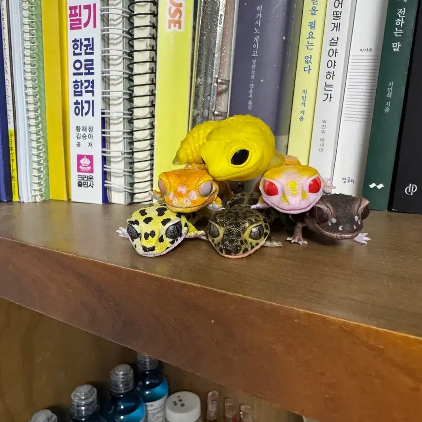 [BUNJANG] Leopard Gecko Gacha Figure Set - 6 Types / 레오파드 게코 가챠 피규어 6종 일괄 판매