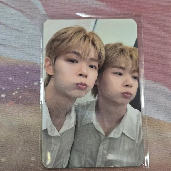 [BUNJANG] Lucy Yechan 'CYLU' Lucky Draw Photocard / 루시 예찬 시루 팝업 MD 특전 LUCY CYLU 포카 양도