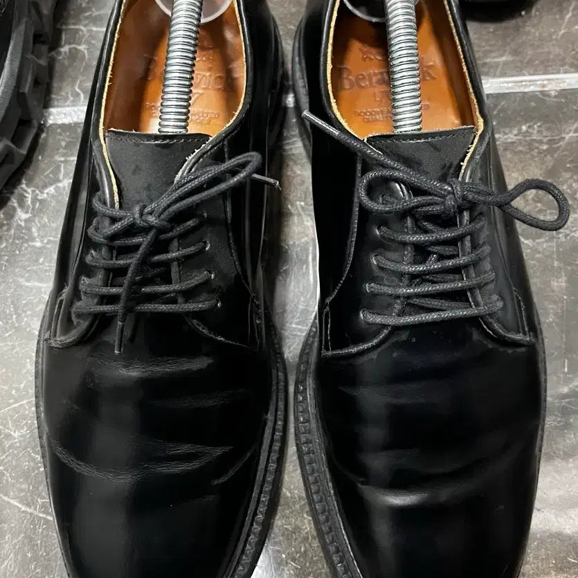 [BUNJANG] Berwick 5341 Derby Shoes / 버윅 5341 더비슈즈 250사이즈