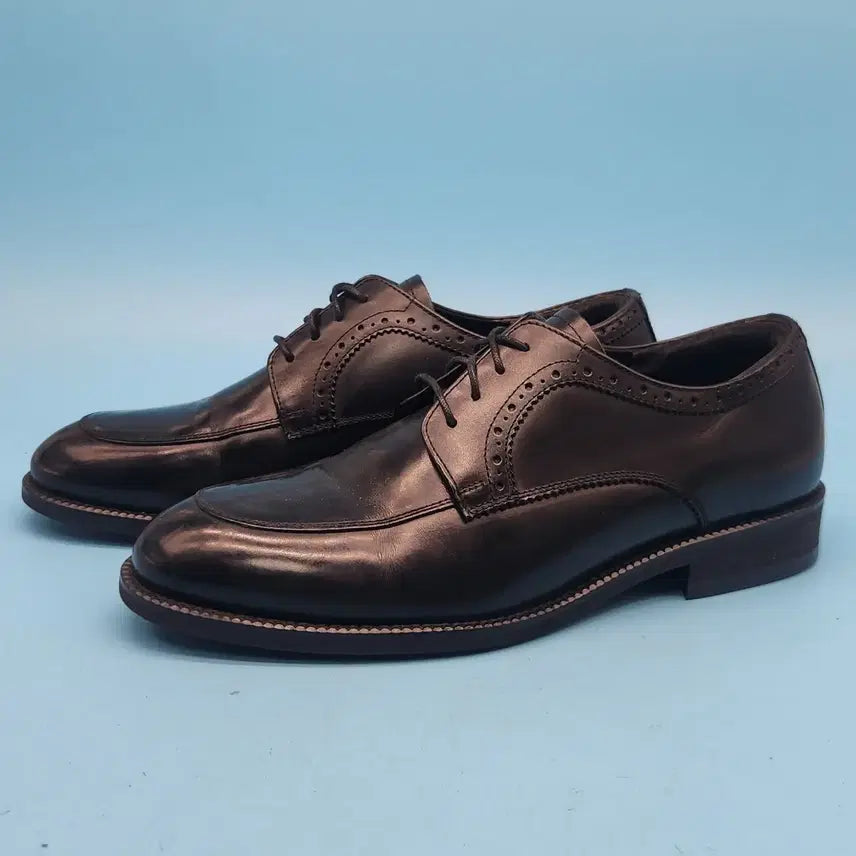 [BUNJANG] SODA HOMME Men's Wingtip Shoes 245 / k 소다옴므 남성 윙팁구두 245