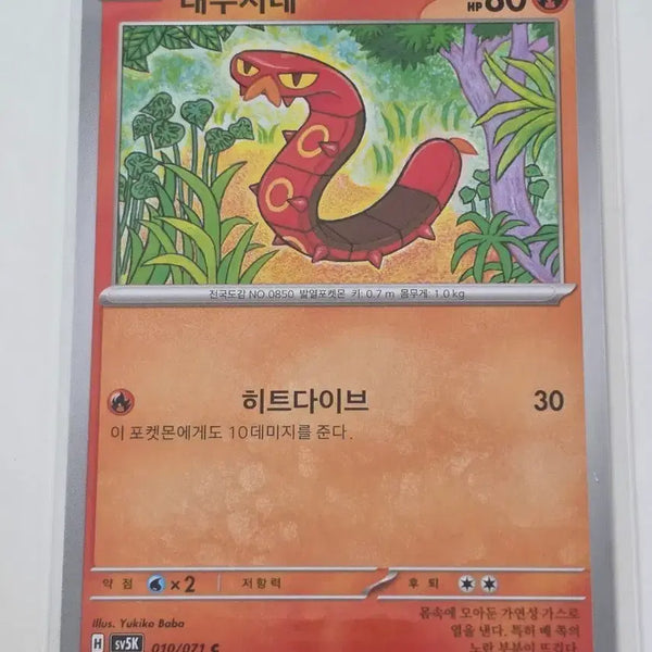 [BUNJANG] Pokemon Card Torkoal Single Card / 포켓몬카드 태우지네 단일