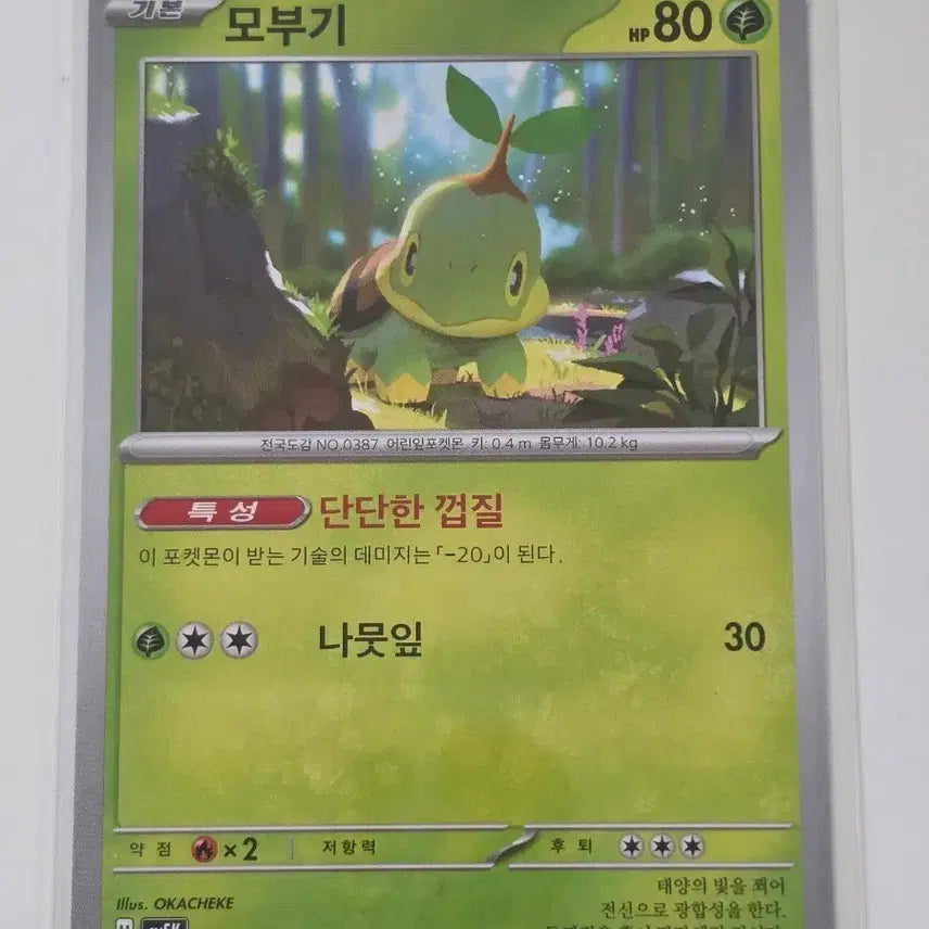 [BUNJANG] Pokemon Card Ivysaur 003/071 / 포켓몬 카드 모부기 003/071