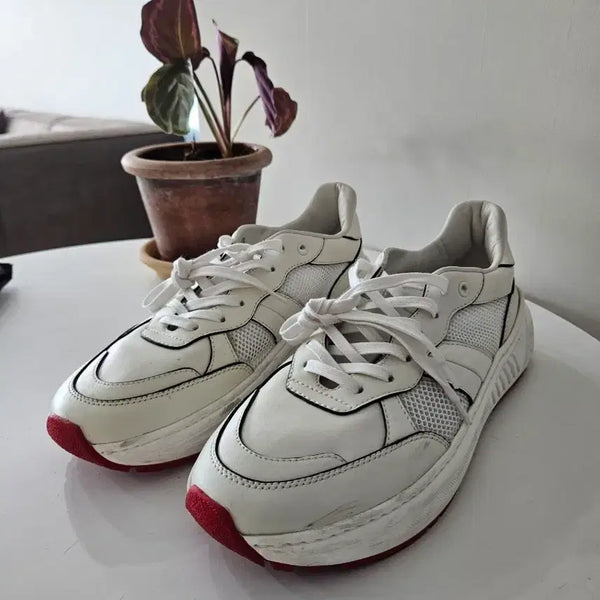 [BUNJANG] Bottega Veneta Speedster Sneakers Size 43 / 보테가베네타 스피드스터 스니커즈 43사이즈 275-280