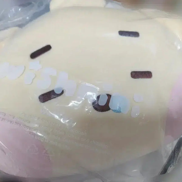 [BUNJANG] NCT Wish Wishnyini Daengtrini Jaehee Cushion Photocard Bundle / [포카O] 엔시티 위시 위시니니 댕트리니 재희 쿠션 양도