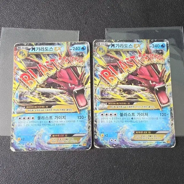 [BUNJANG] Pokemon Card M Gyarados EX RR XY9 019 / 포켓몬 카드 M갸라도스 EX rr xy9 019