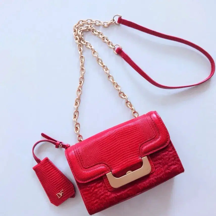 [BUNJANG] Diane von Furstenberg Calf Hair & Snakeskin Chain Bag / 다이앤본퍼스텐버그 송치 체인백
