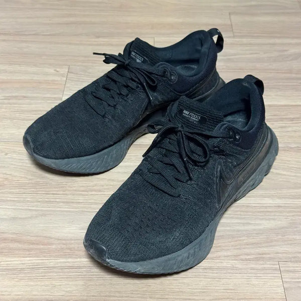 [BUNJANG] Nike React Infinity Run 275 / 나이키 리액트 인피니티런 275