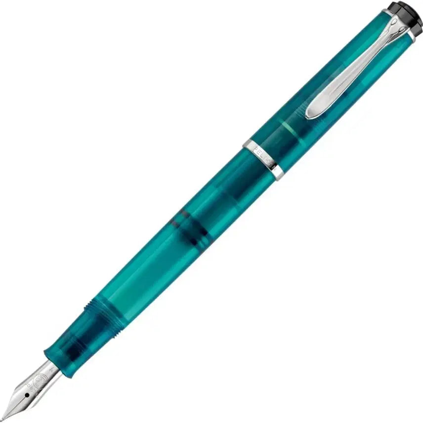 [BUNJANG] Pelikan M205 Fountain Pen Fine Nib New Unused / 펠리칸 만년필 m205 F촉 새제품박스채 완전한 미사용 새제품