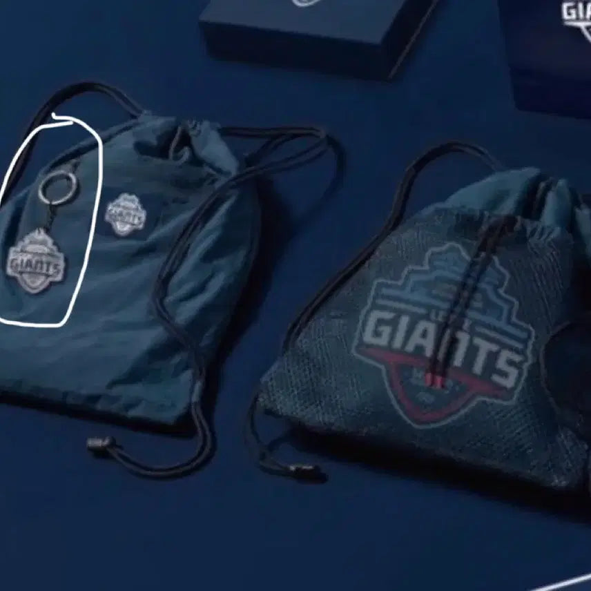 [BUNJANG] Lotte Giants Season Ticket Drawstring Bag with Keyring / 롯데 시즌권 짐쌕(새상품), 키링포함
