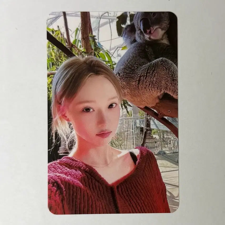 [BUNJANG] Aespa Winter Whiplash QQ Music 4-Star Lucky Draw Photocard / 에스파 윈터 위플래시 큐큐뮤직 4성 포토카드 포카 해외 미공포