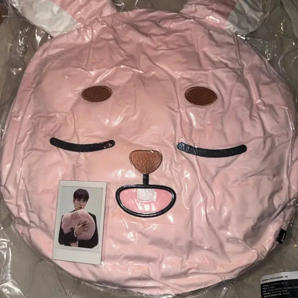 [BUNJANG] DAY6 Dennimals Phil Face Cushion Sealed / 데이식스 데니멀즈 필 페이스 쿠션 미개봉 양도