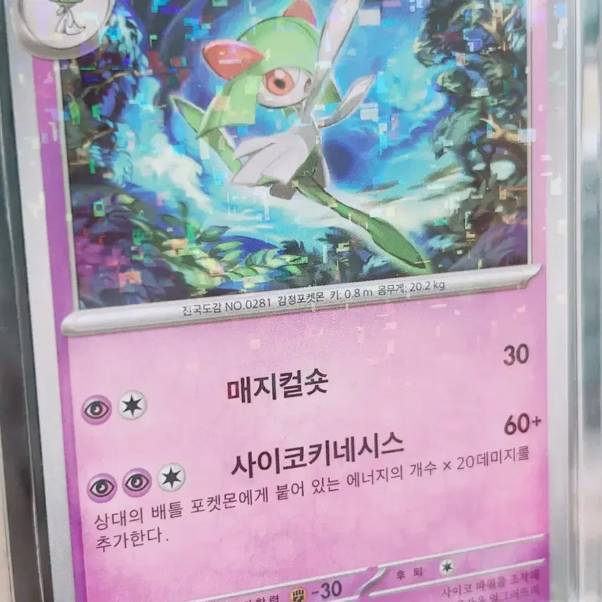 [BUNJANG] Pokemon Card Kilia Hologram / 포켓몬 카드 킬리아 홀로그램