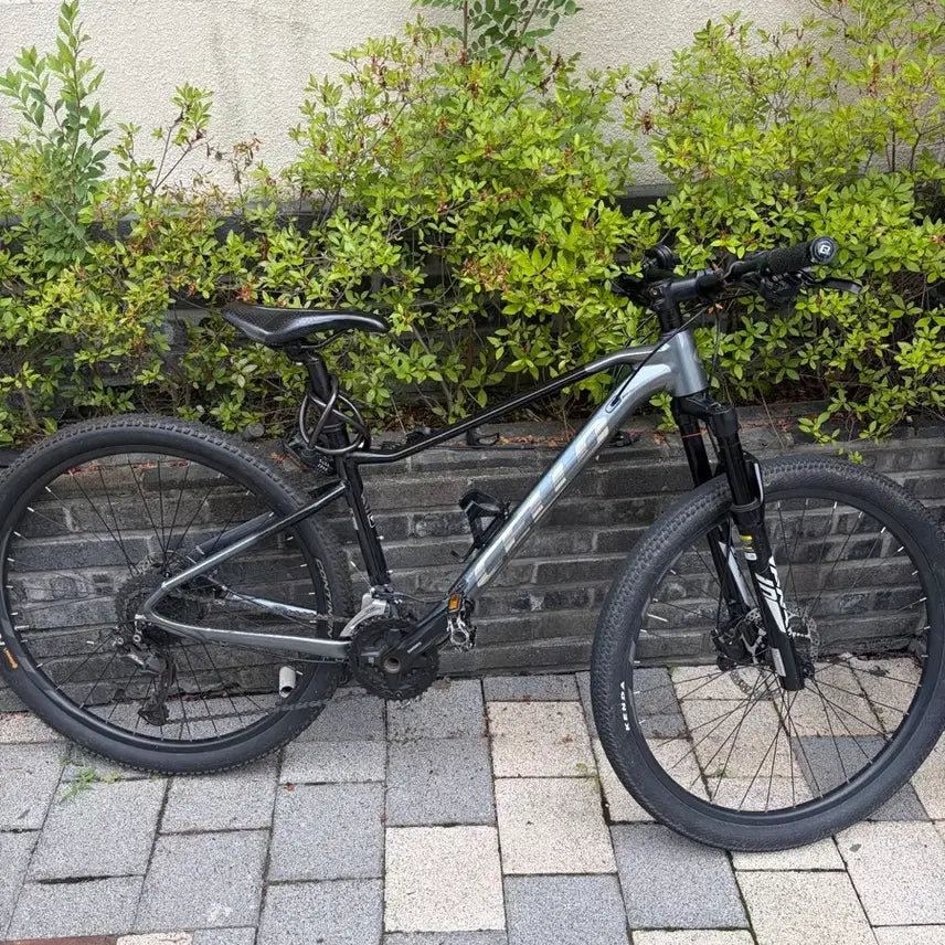 [BUNJANG] Cello MTB Road Bicycle / 첼로 mtb 로드 대차 대/판