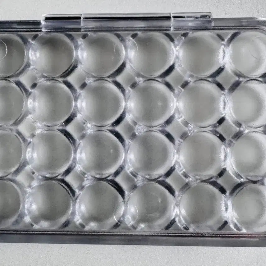 [BUNJANG] 24-Compartment Hinged Storage Case for Small Items / 땅콩금 보관 경첩 24칸 케이스