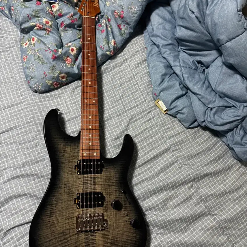 [BUNJANG] Ibanez Guitar with Case / 아이바네즈 기타 팝니다