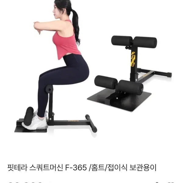 [BUNJANG] Fittera Squat Machine F-365 Foldable Home Training / 핏테라 스쿼트머신 F-365 / 홈트/접이식