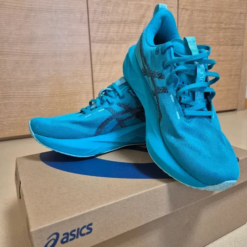 [BUNJANG] Asics NovaBlast 5 Running Shoes - Wave Tile/Black, Size 270 / 아식스 노바블라스트5 270사이즈 입니다 ^^
