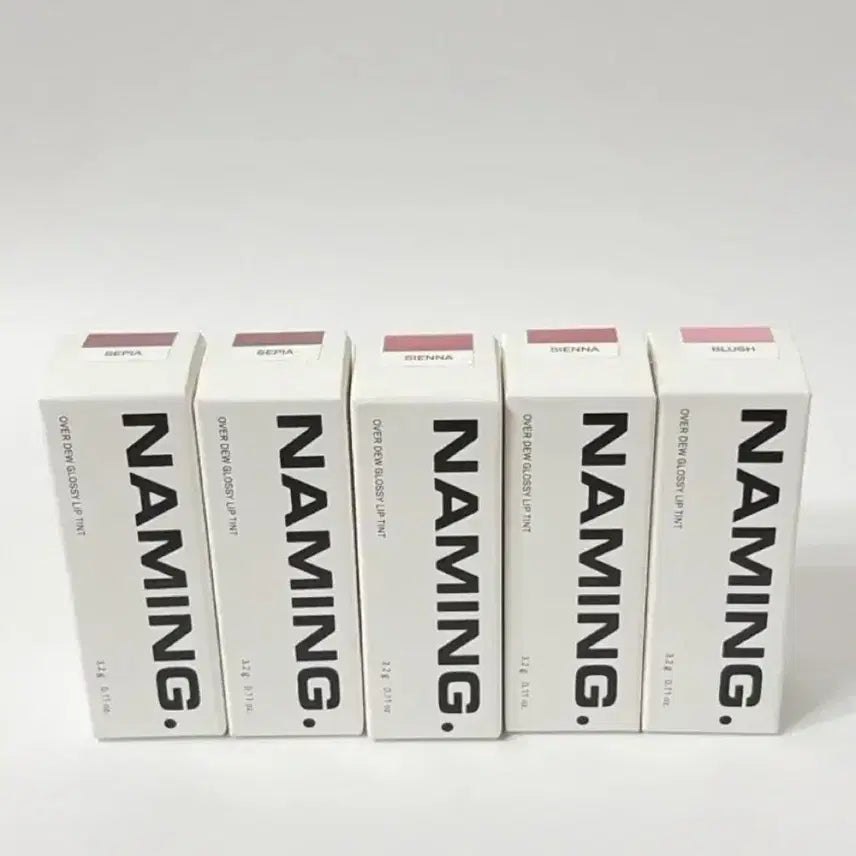 [BUNJANG] Naming Overdue Glossy Lip Tint (Sienna, Sepia) / [새상품] 네이밍 오버듀 글로시 립틴트 블러쉬/시엔나/세피아
