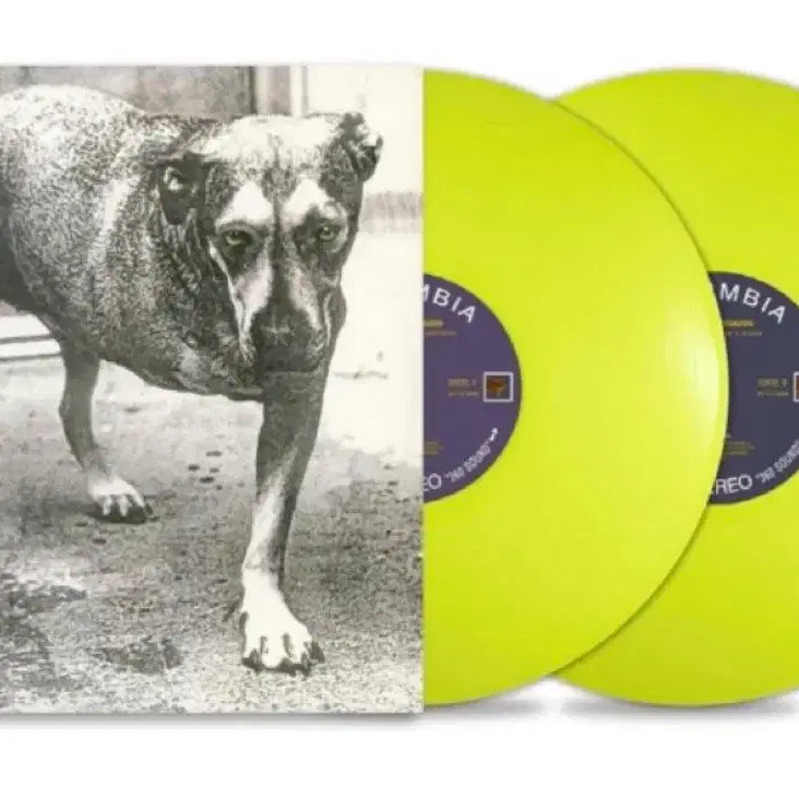 [BUNJANG] Alice in Chains Alice in Chains 2LP / alice in chains - alice in chains 2lp