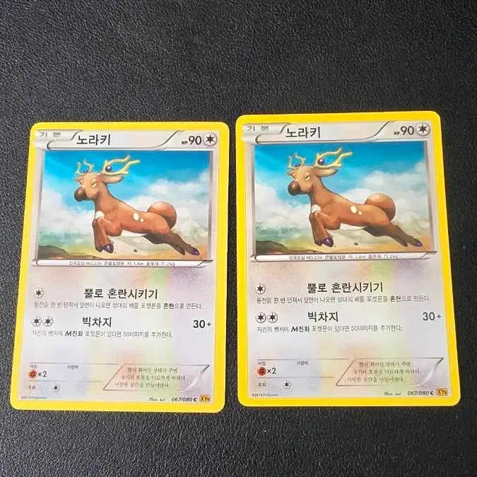 [BUNJANG] Pokemon Card Noraki XY9 067 / 포켓몬 카드 노라키 xy9 067