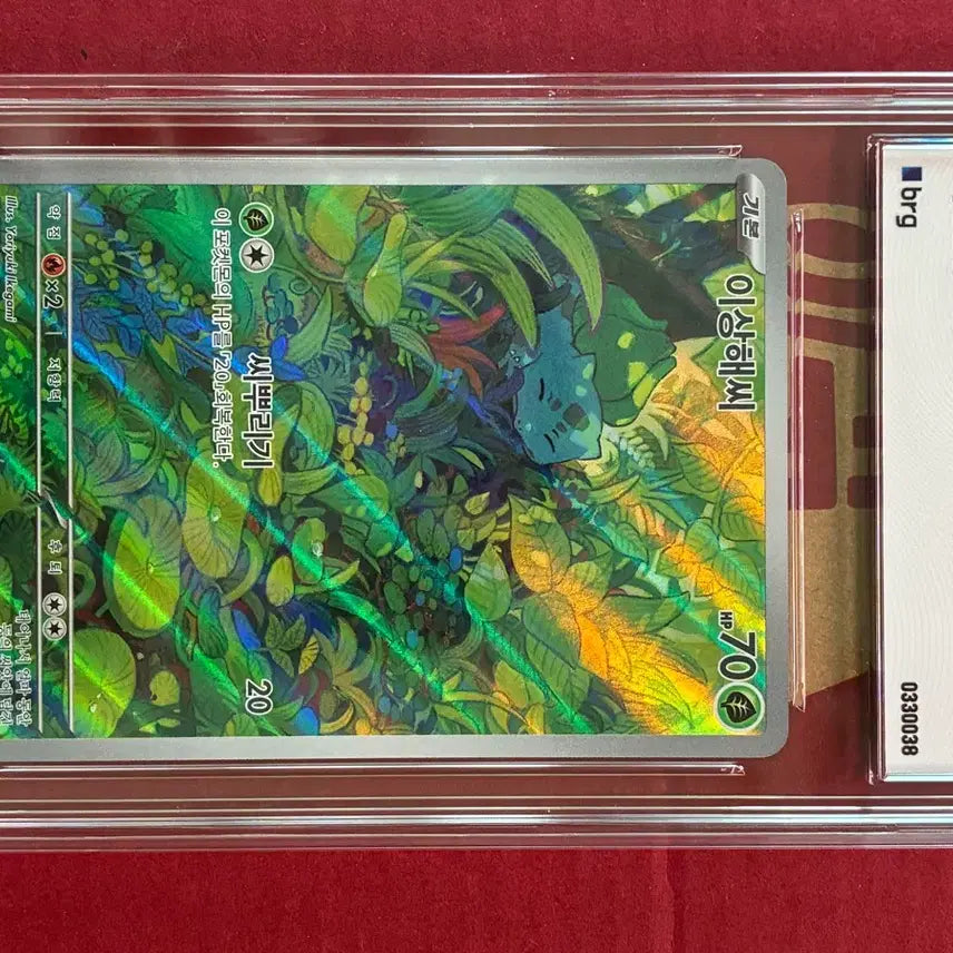 [BUNJANG] Bulbasaur AR BRG9 Trading Card / 이상해씨 ar brg9
