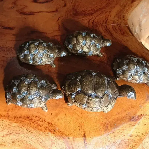 [BUNJANG] Mini Turtle Family Figurine with Sparkling Ornaments / 동 미니거북 가족