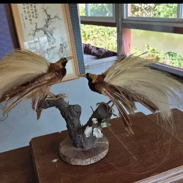 [BUNJANG] Stuffed Birds of Paradise (2-Piece Set) / 화려한 극락조 박제 2마리