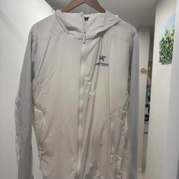[BUNJANG] Arc'teryx Atom SL Lightweight Jacket / 아크테릭스 아톰 sl