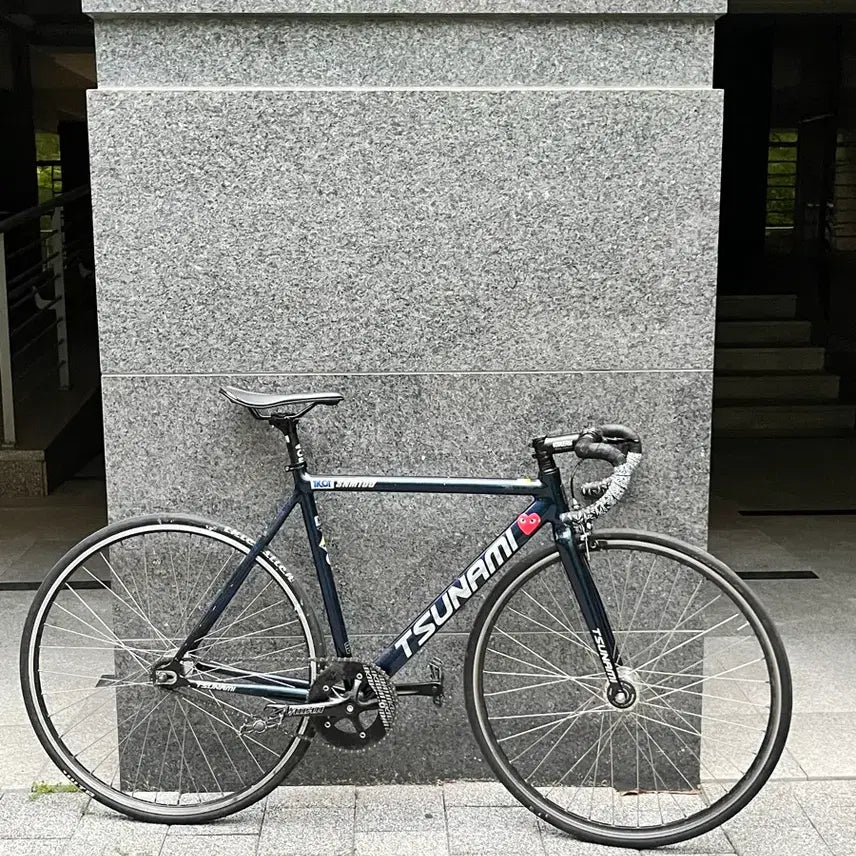 [BUNJANG] Tsunami SNM100 Chameleon Complete Bike / 쓰나미 snm100 카멜레온 판대