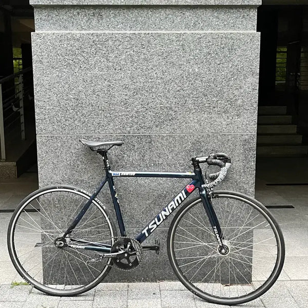 [BUNJANG] Tsunami SNM100 Chameleon Complete Bike / 쓰나미 snm100 카멜레온 판대