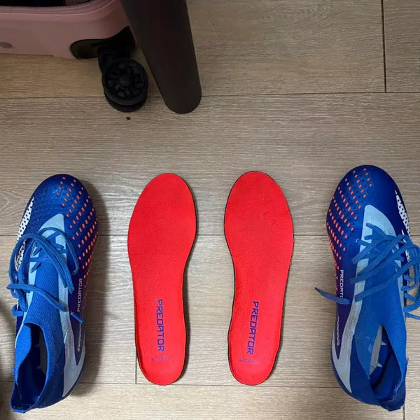 [BUNJANG] Adidas Predator FG Football Boots / 아디다스 프레데터 축구화 판매