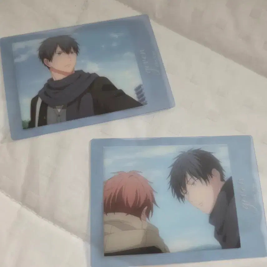 [BUNJANG] Given "Sea" Clear Passcase 2-Set: Ritsuka & Mafuyu / 기븐 바다로 클리어 파샤코레 파샤 2종 일괄 리츠카 마후유